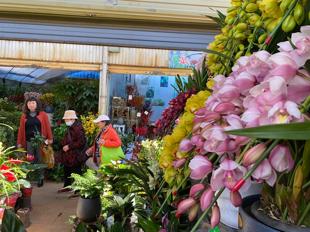 花鸟市场里,各种花争奇斗艳,很是漂亮。 花鸟市场里,各种花争奇斗艳,很是漂亮。