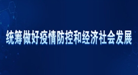统筹做好疫情防控和经济社会发展