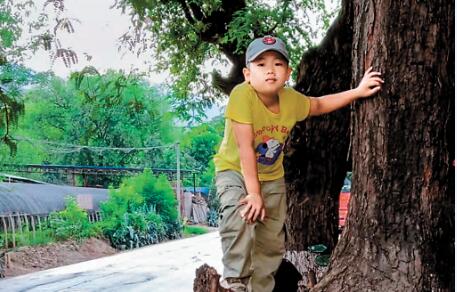 吴子铮 吴子铮