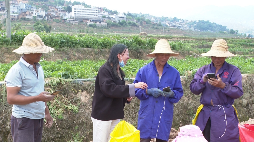 古城街道:反诈宣传进田间 守住群众“钱袋子”