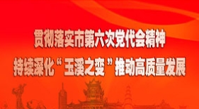 贯彻省委省政府玉溪现场办公会精神