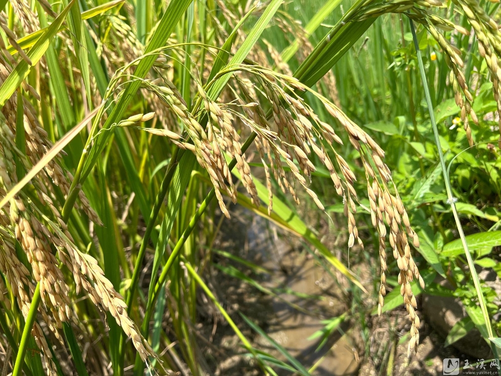 微信图片_20220615161200 微信图片_20220615161200