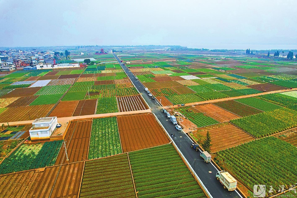 新修的江养路方便当地农户生产出行。