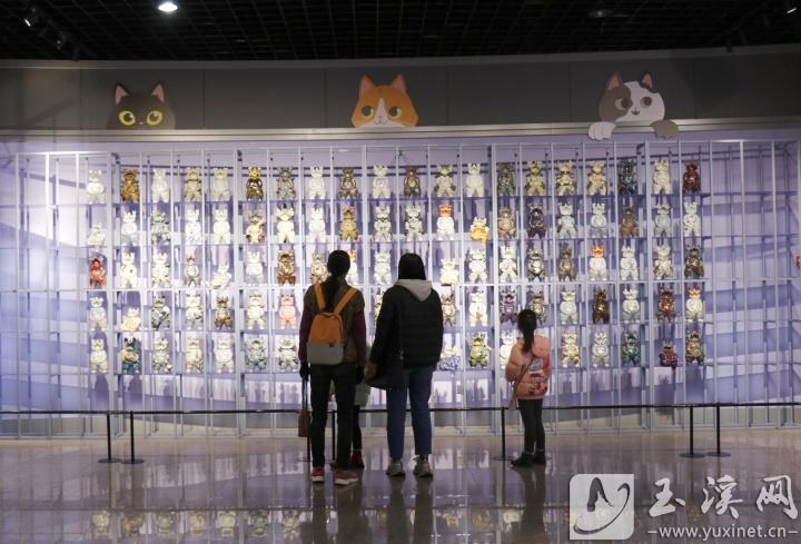 观众沉浸在展览的魅力中。