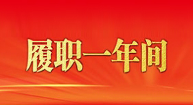 履职一年间