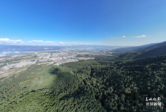 涉及苍山保护！大理拟建1条森林防火应急通道.JPG