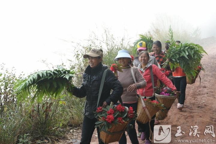 采花归来的村民。
