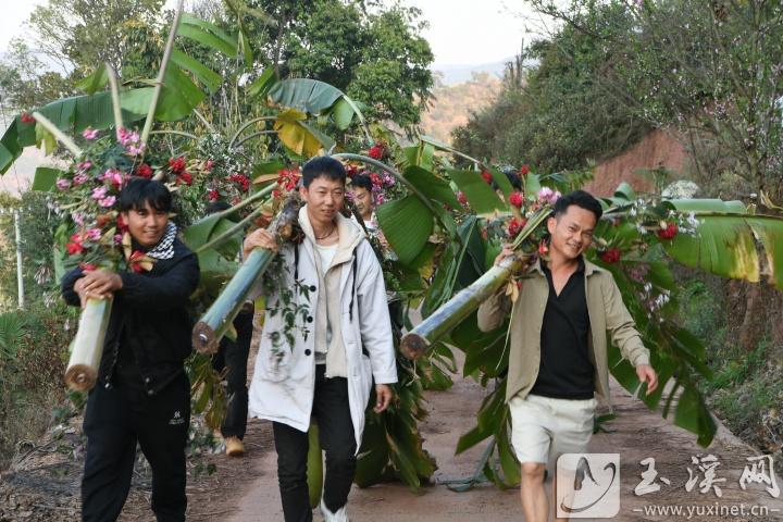宴客结束，年轻人把芭蕉树及鲜花送到村后一棵古老的大树下。