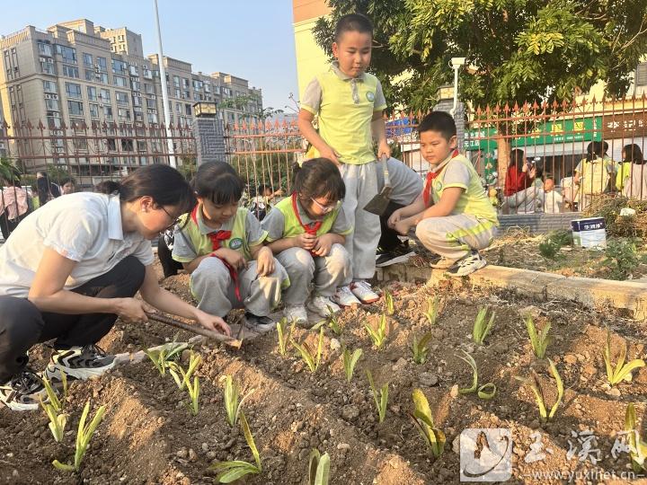 老师指导学生种植蔬菜。