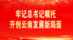 牢记总书记嘱托开创云南发展新局面